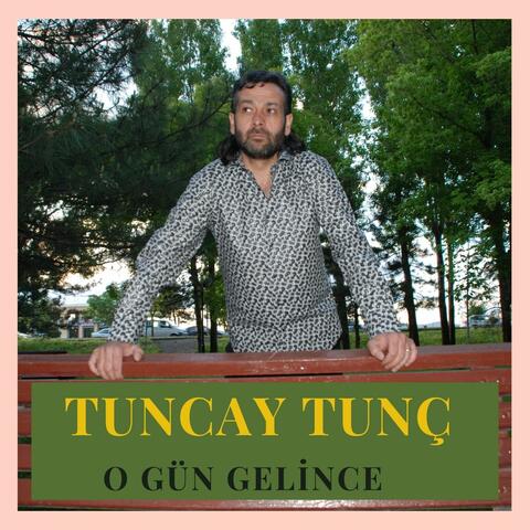 Ogün Gelince