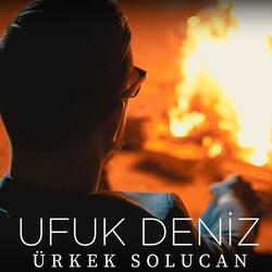Ürkek Solucan