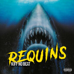 Requins