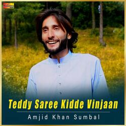 Teddy Saree Kidde Vinjaan