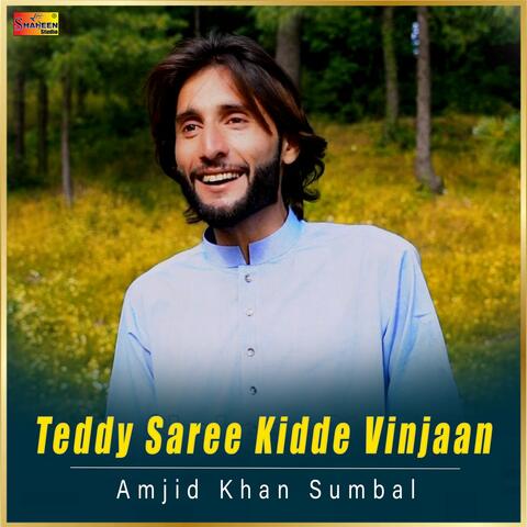 Teddy Saree Kidde Vinjaan