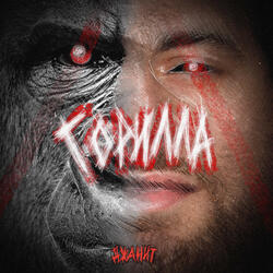 Горилла