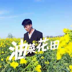 油菜花田