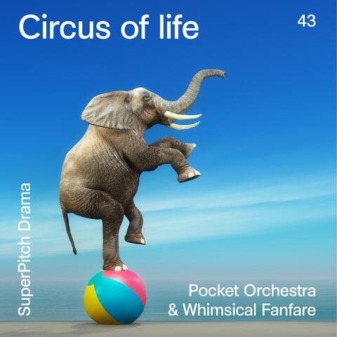 Circus of Life