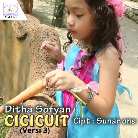 Cicicuit (Versi 3)