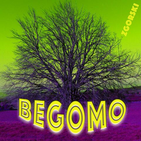 Begomo