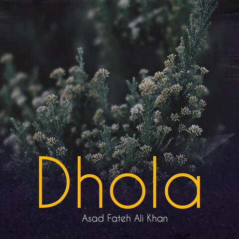 Dhola