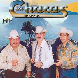 Dos Botellas
