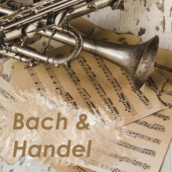 Johann sebastian bach brandenburg concerto nº2 f major