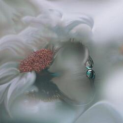 雨落长安