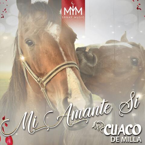 Mi Amante Si