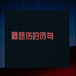 追逐极光