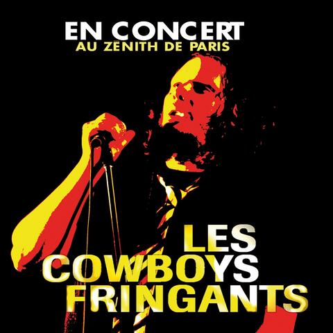 En concert au Zénith de Paris