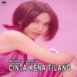 Cinta Kena Tilang