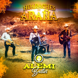 Huaraches de Araña