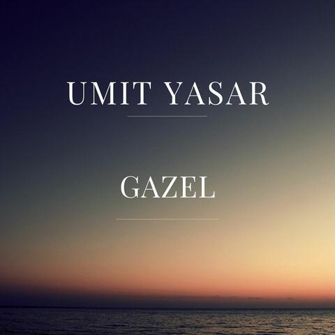 Gazel