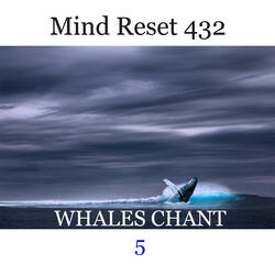 Whales Chant