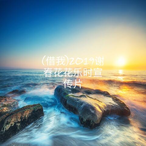 (借我)2019谢春花花乐时宣传片