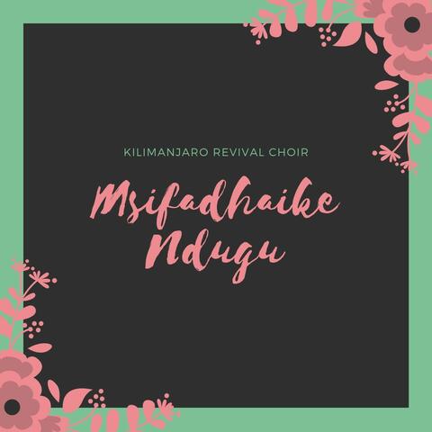 Msifadhaike Ndugu