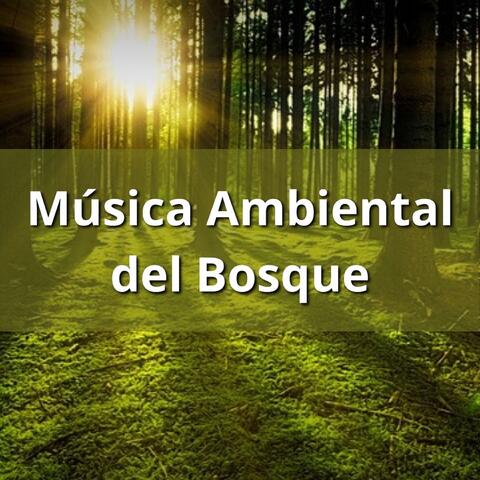 Música Ambiental del Bosque