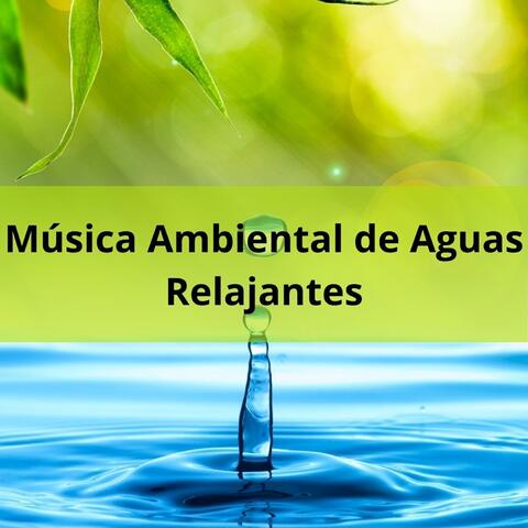Música Ambiental de Aguas Relajantes