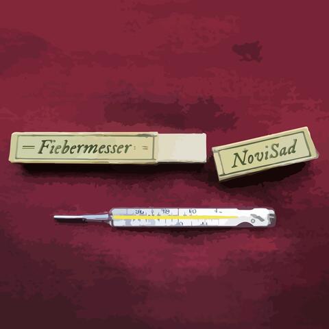 Fiebermesser