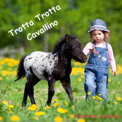 Trotta trotta cavallino