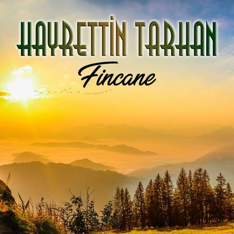 Fincane