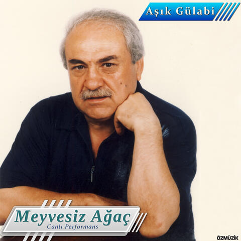 Meyvesiz Ağaç