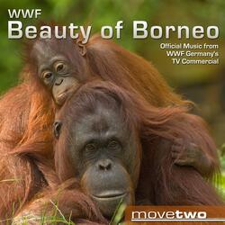 WWF Beauty of Borneo