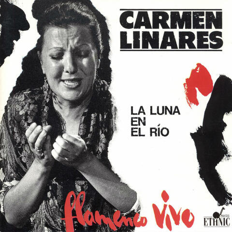 Flamenco Vivo