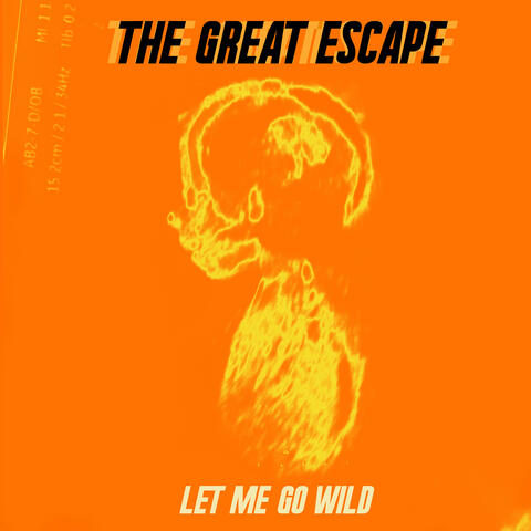 Let Me Go Wild