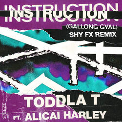 Instruction (Gallong Gal)