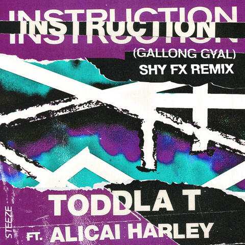 Instruction (Gallong Gal)