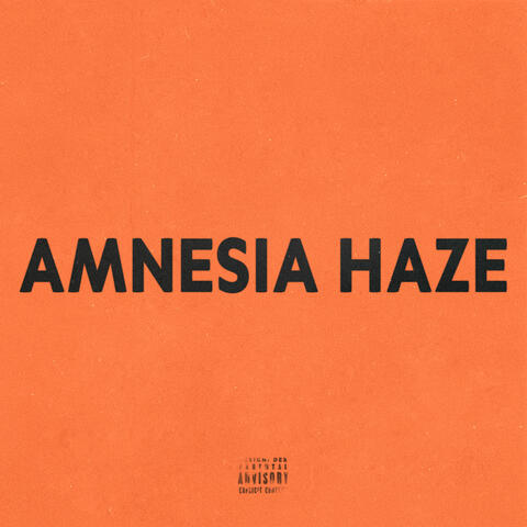 AMNESIA HAZE
