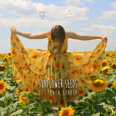 Sunflower Seeds