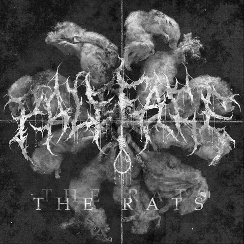 The Rats
