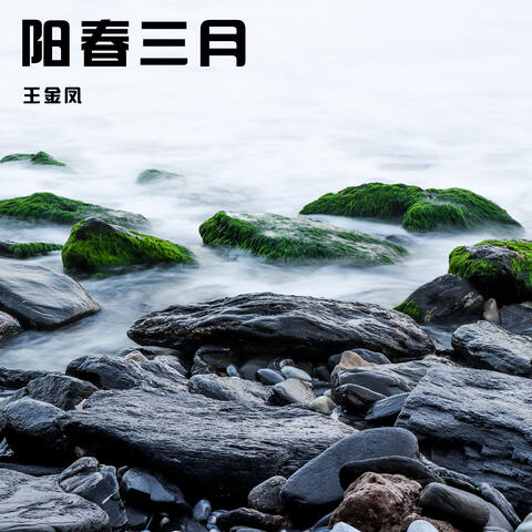 阳春三月