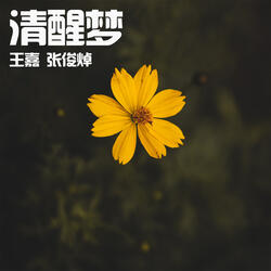 清醒梦