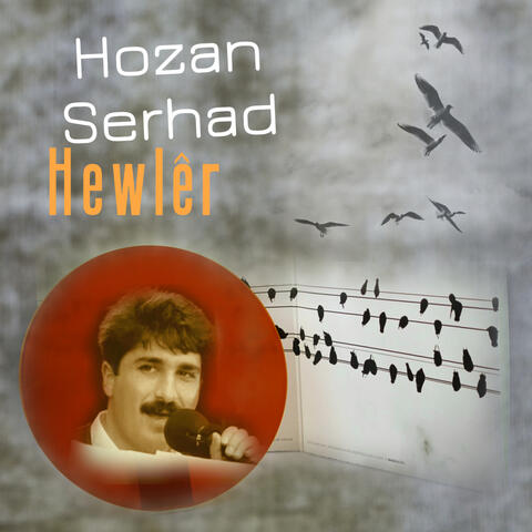 Hewlêr