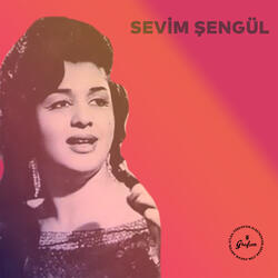 Boğaziçi Canımın İçi