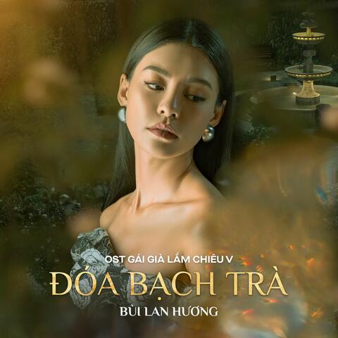 Đoá Bạch Trà