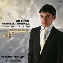 אהלל אמלל
