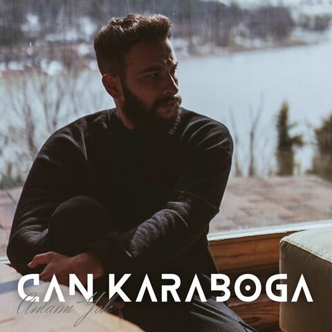 Anlamı Yok