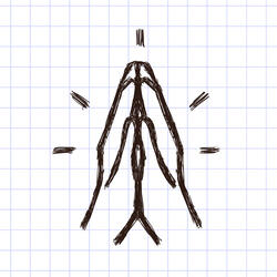 Извинение белых гетеросексуальных мужчин