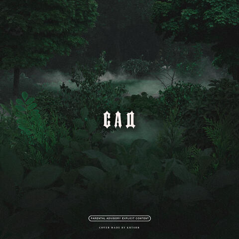 Сад