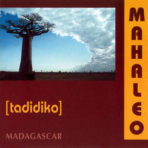 Tadidiko
