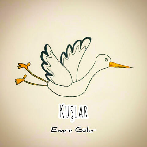 Kuşlar