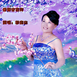 春满杏花沟