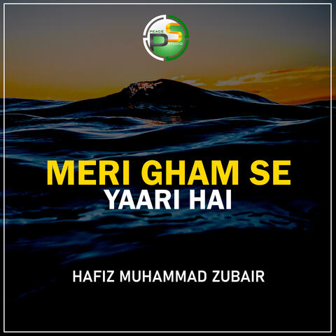 Meri Gham Se Yaari Hai